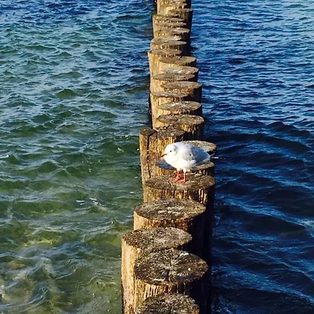 Haus Bernstein * Rerik